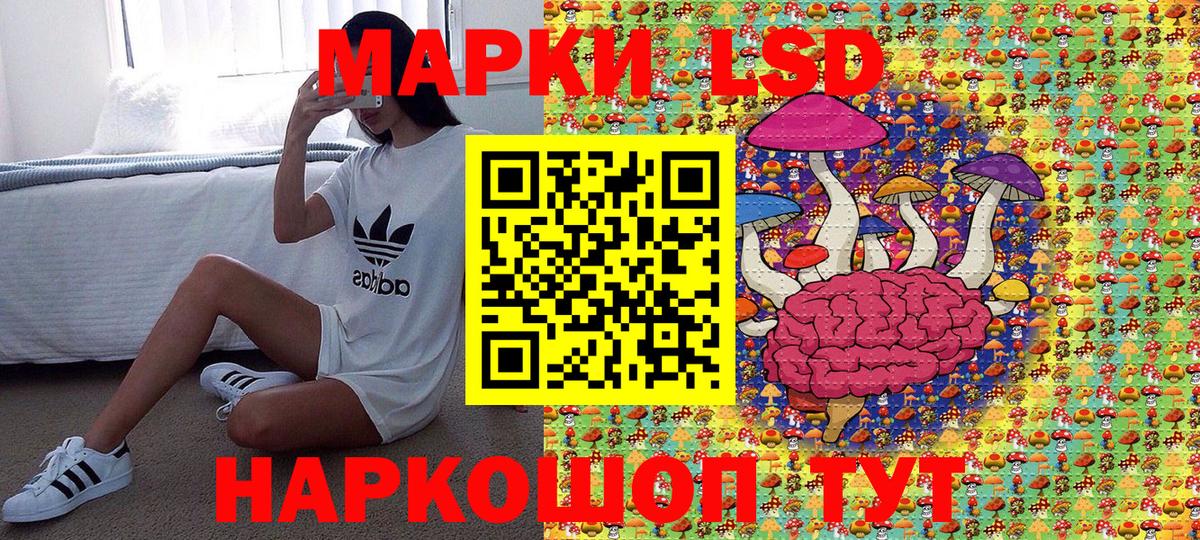 купить наркоту  Вход с VPN  Наркотические марки 1,8мг  Егорьевск  Наркотические марки 1,8мг 